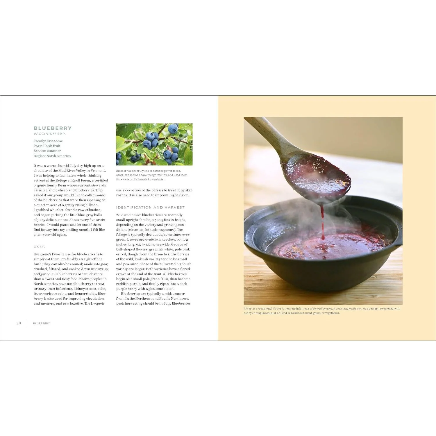 IWIGARA: THE KINSHIP OF PLANTS AND PEOPLE, AMERICAN INDIAN ETHNOBOTANICAL TRADITIONS AND SCIENCE BY ENRIQUE SALMON - Image 3