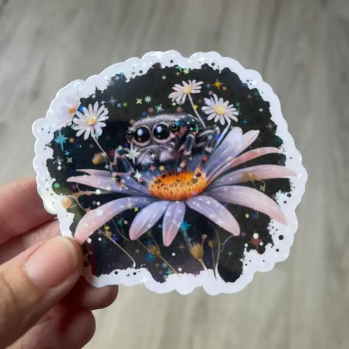JUMPING SPIDER ON DAISY STICKER