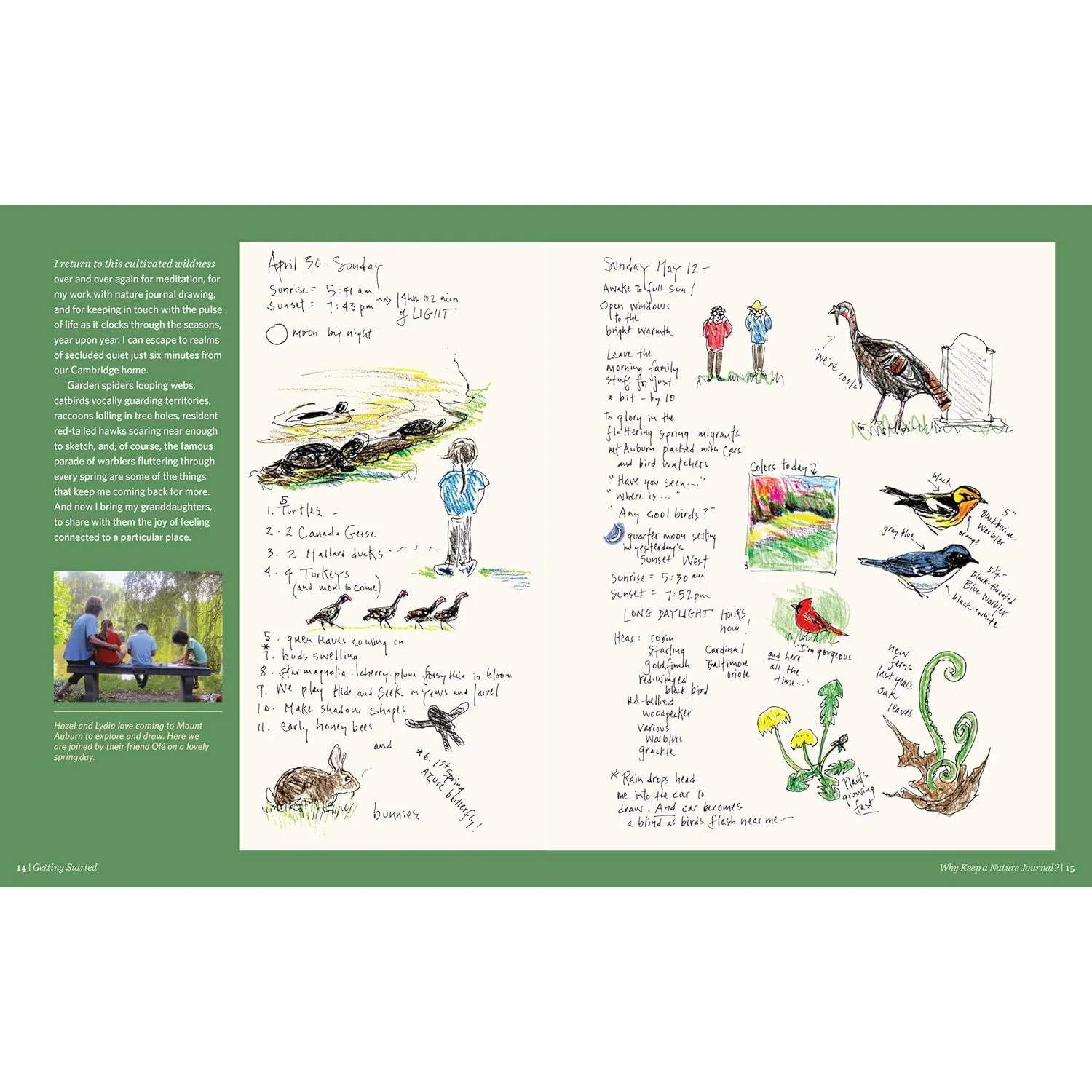 KEEPING A NATURE JOURNAL BY CLARE WALKER LESLIE - Image 3