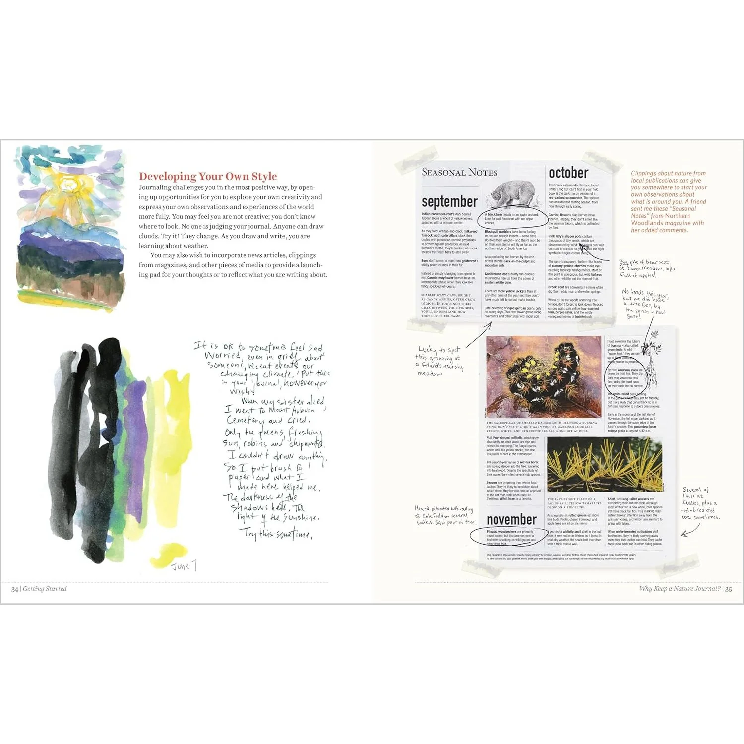 KEEPING A NATURE JOURNAL BY CLARE WALKER LESLIE - Image 4