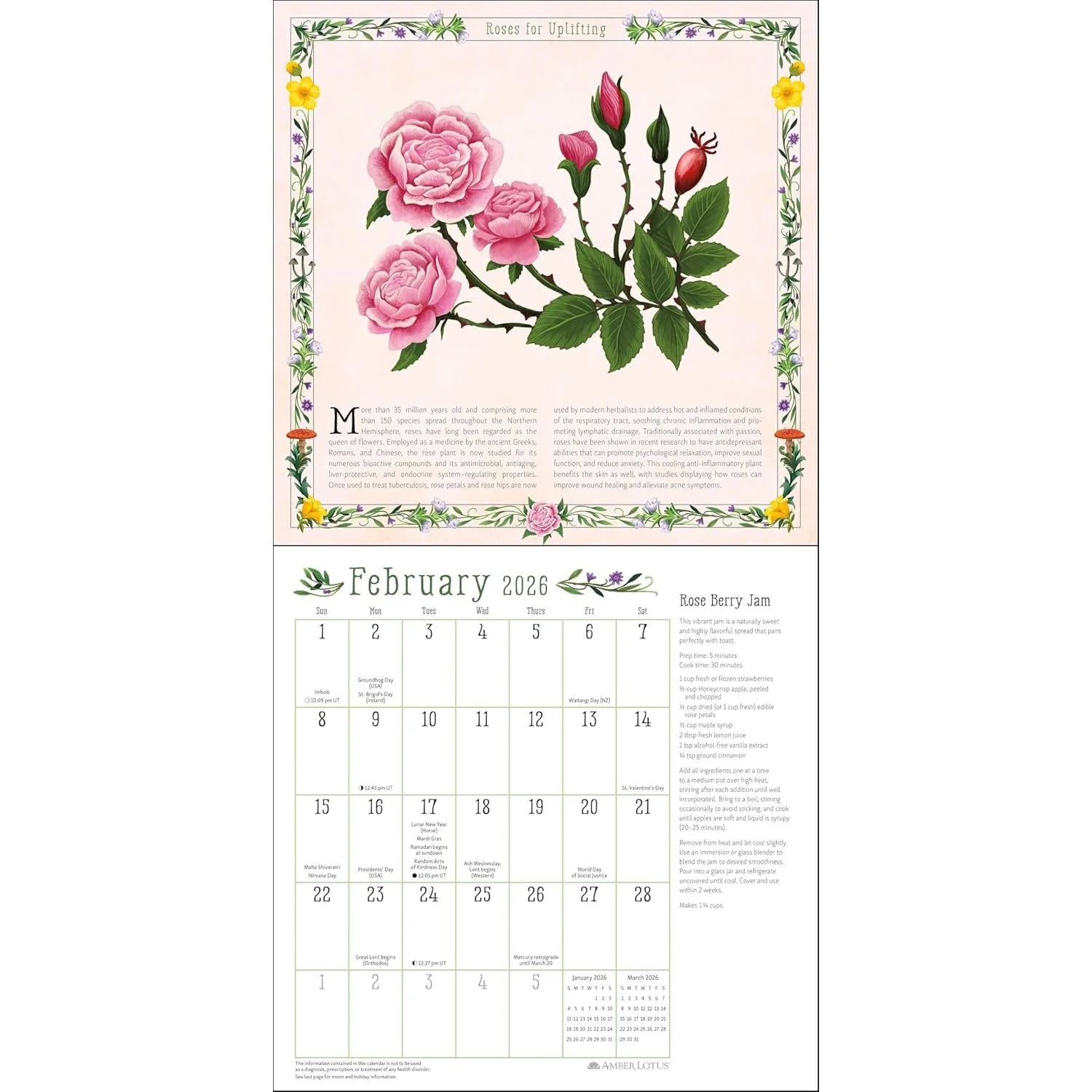 KITCHEN WITCH WALL CALENDAR 2026 - Image 2