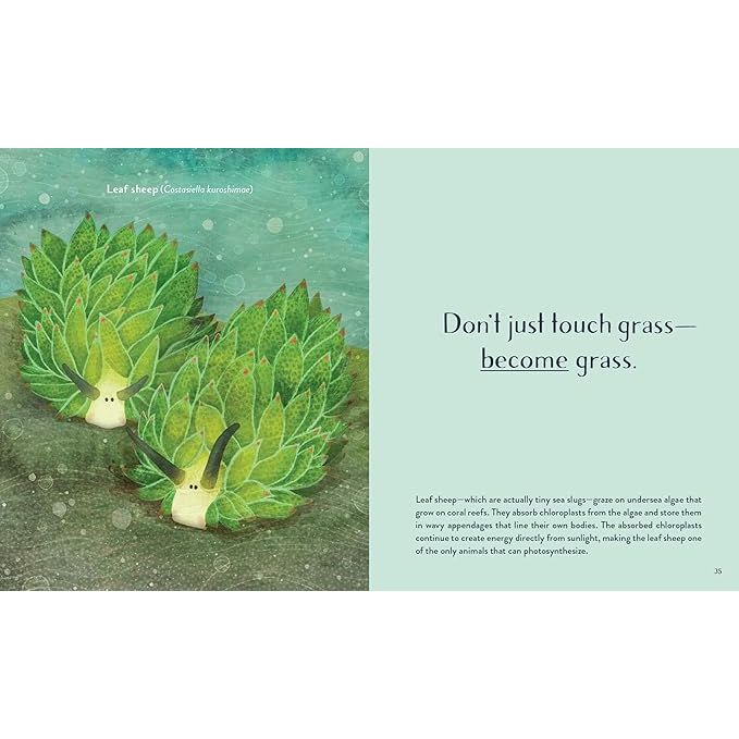LEAVING THE OCEAN WAS A MISTAKE: LIFE LESSONS FROM SIXTY SEA CREATURES BY CARA GIAIMO ILLUSTRATED BY VLAD STANKOVIC - Image 4