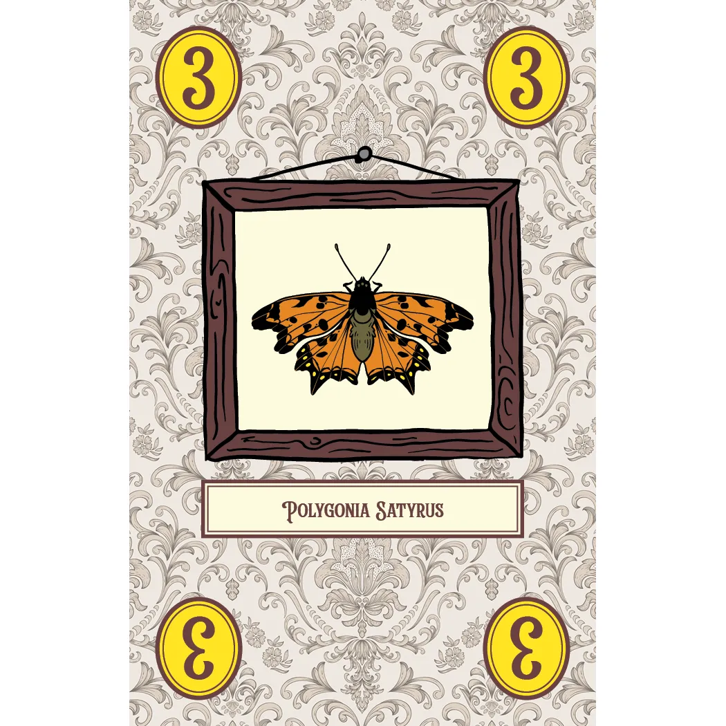 LEPIDOPTERY - Image 3