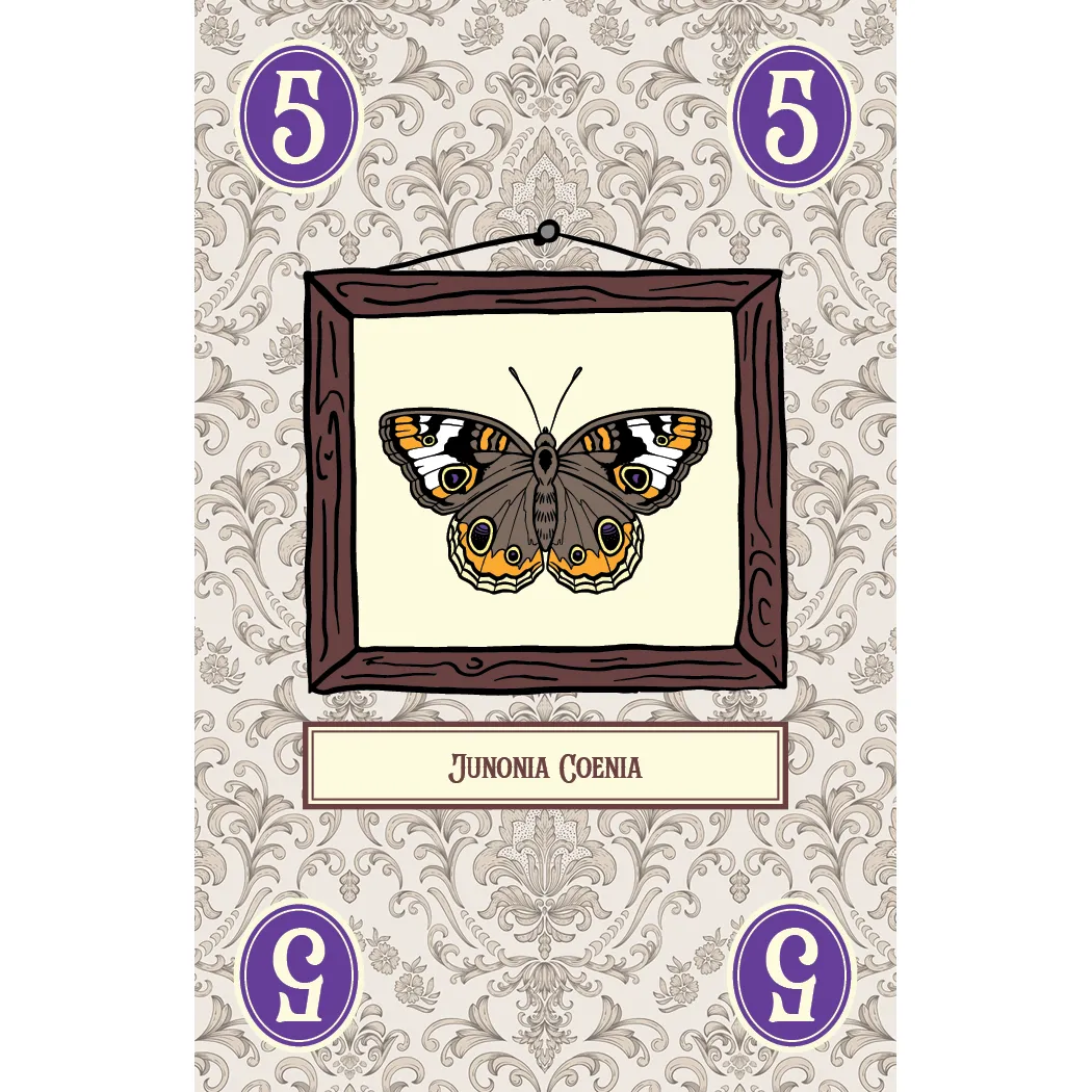 LEPIDOPTERY - Image 4
