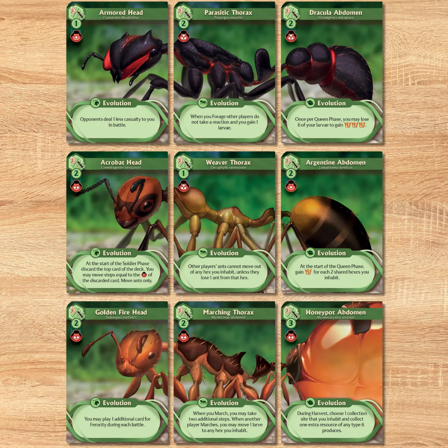 MARCH OF THE ANTS EVOLVED EDITION - Image 3