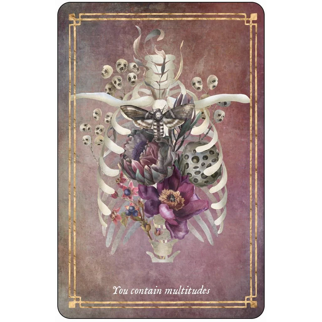 MEMENTO MORI CARDS: 36 CARDS TO EMBRACE LIFE - Image 5