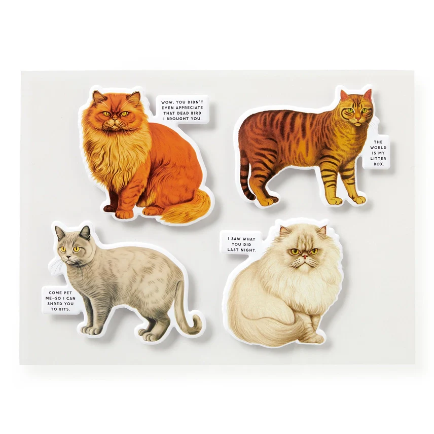 MOODY CATS 1000 PIECE PUZZLE - Image 2