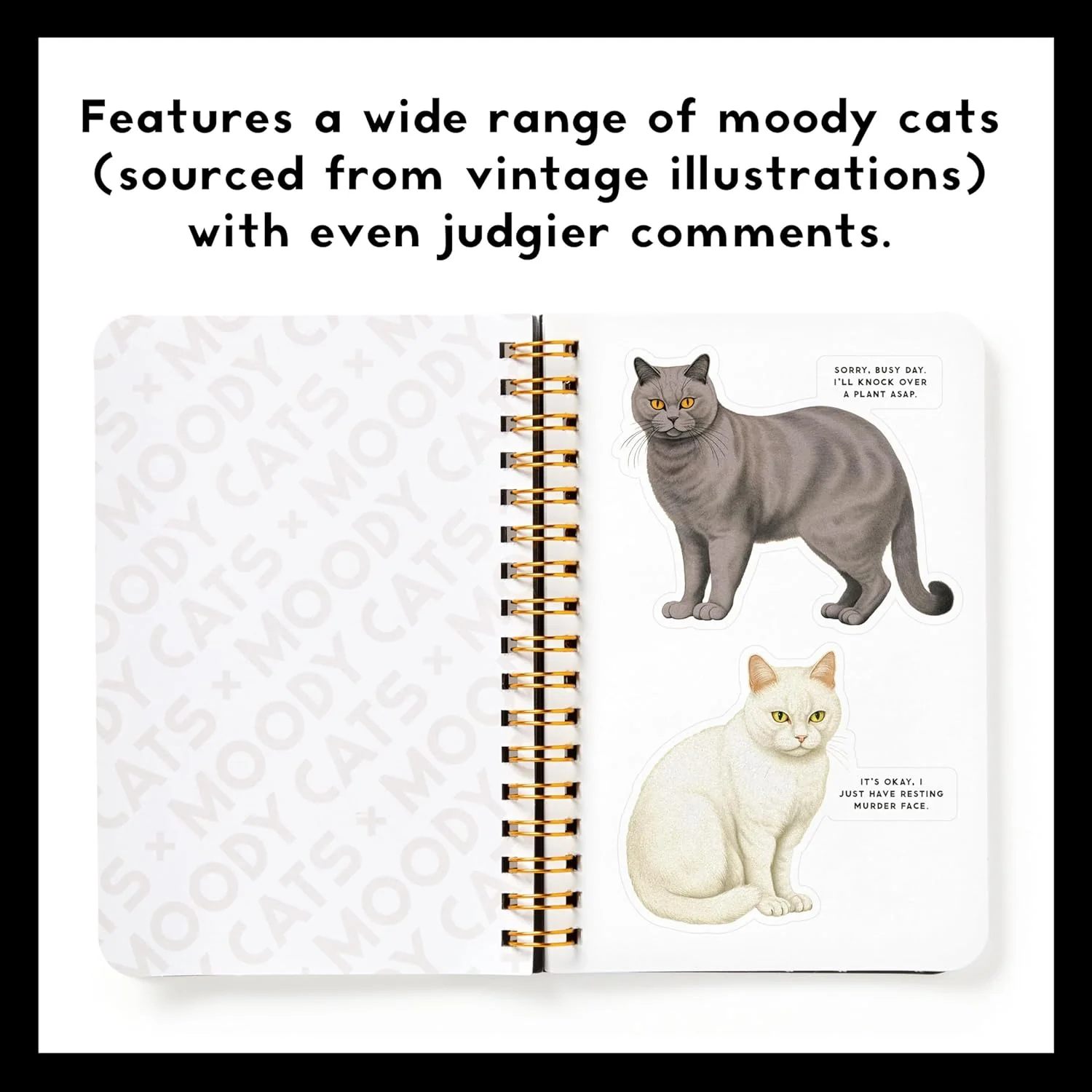 MOODY CATS STICKER BOOK - Image 3