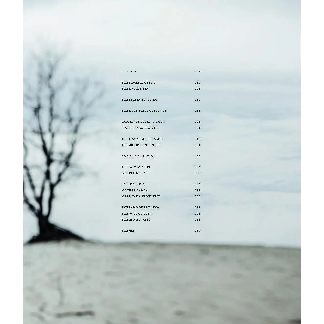 MOTHMEISTER: SINISTER AND SPIRITUAL POST-MORTEM FAIRY TALES - Image 2