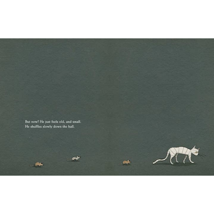 MUMMY CAT BY MARCUS EWERT AND ILLUSTRATED BY LISA BROWN - Image 3