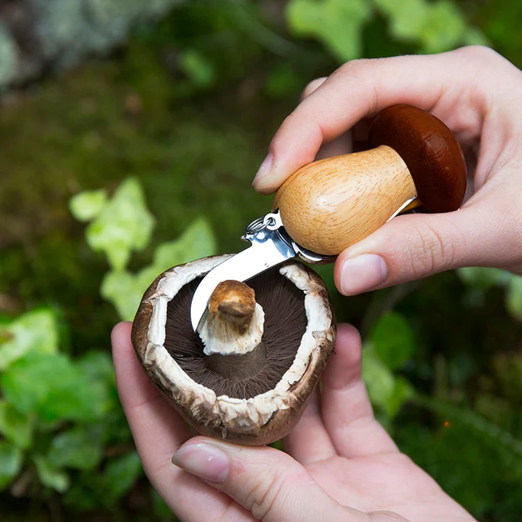 MUSHROOM FORAGING TOOL KEYCHAIN - Image 2