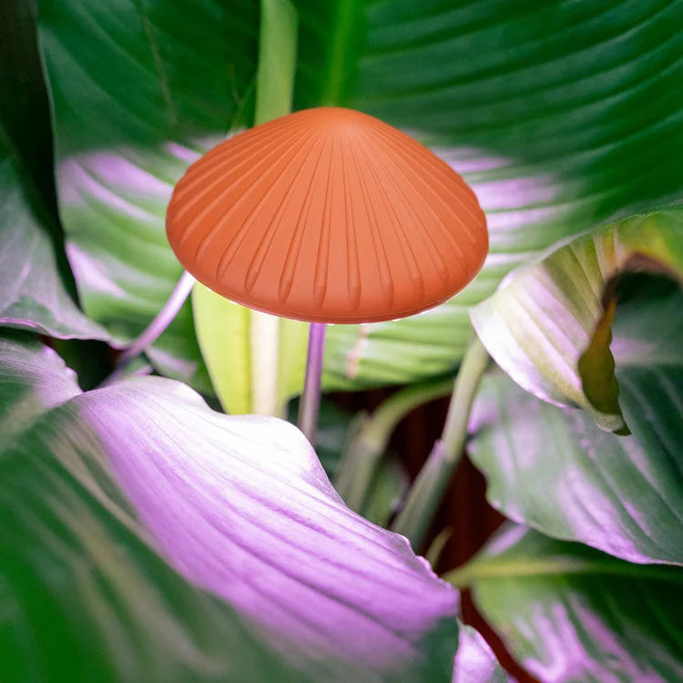 MUSHROOM GROW LIGHT - Image 2