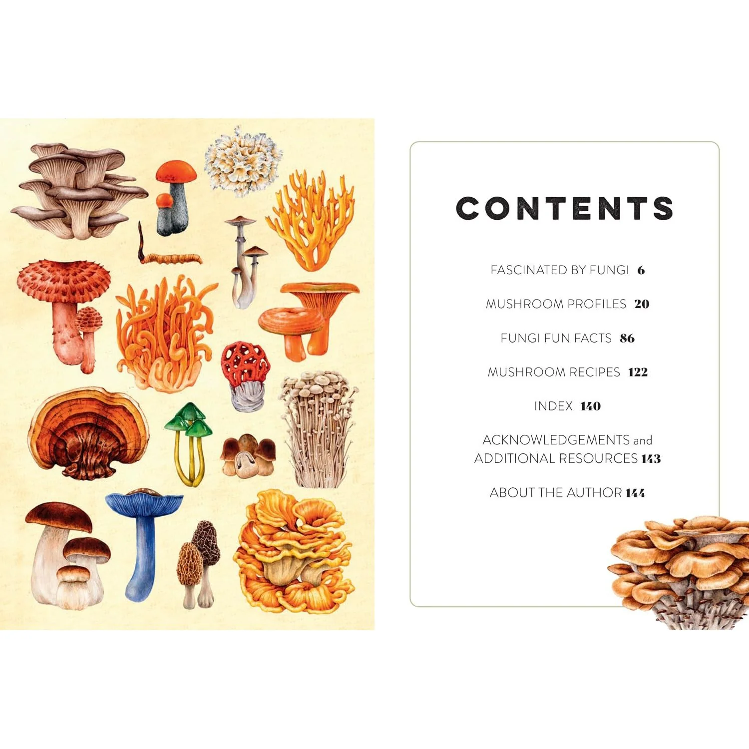 MUSHROOM MISCELLANY: AN ILLUSTRATED GUIDE BY ADELE NOZEDAR - Image 2