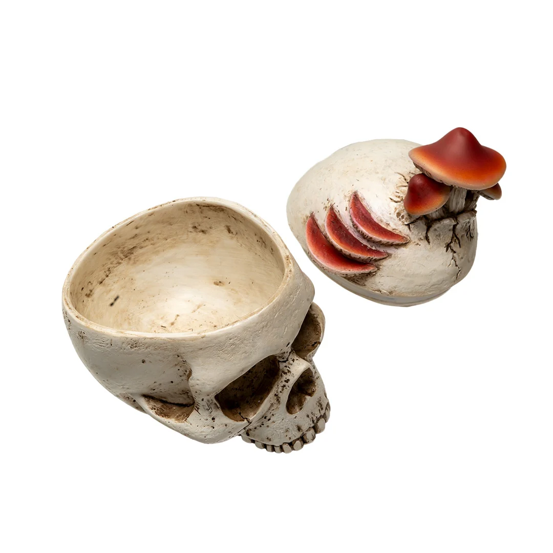 MUSHROOM SKULL BOX - Image 2