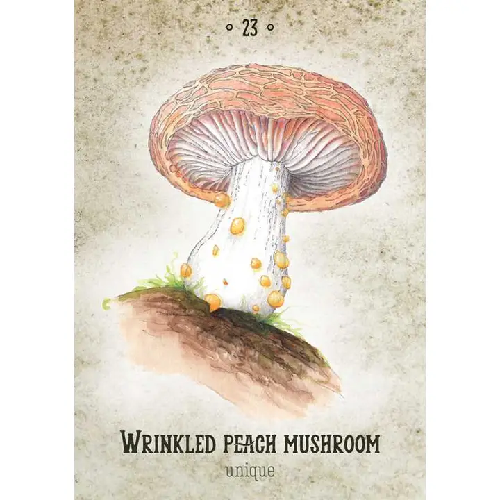MUSHROOM SPIRIT ORACLE - Image 3