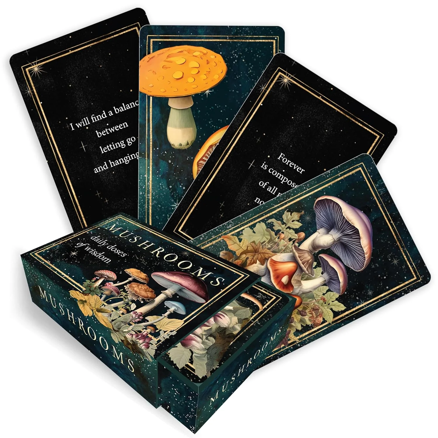 MUSHROOMS: DAILY DOSES OF WISDOM CARDS