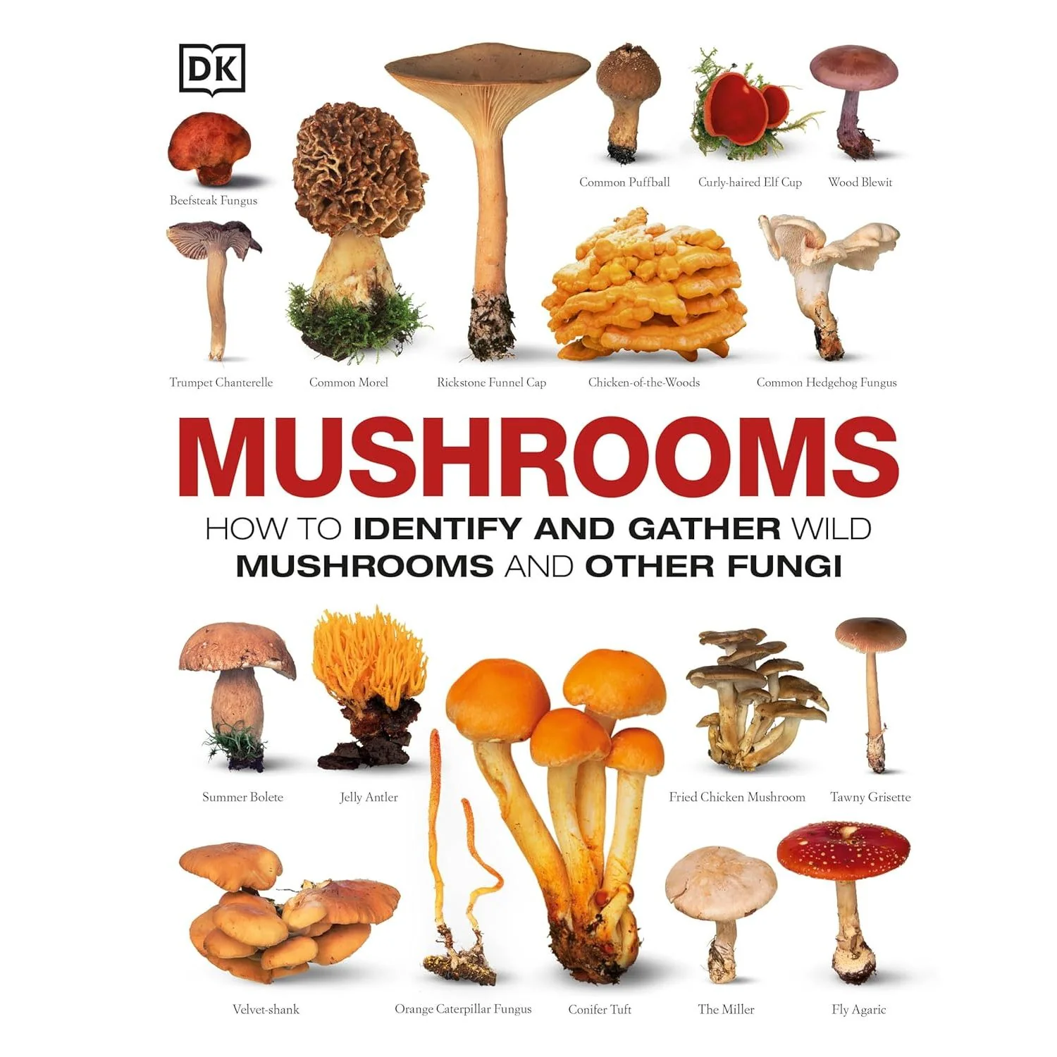 MUSHROOMS: HOW TO IDENTIFY AND GATHER WILD MUSHROOMS AND OTHER FUNGI (DK GUIDE)