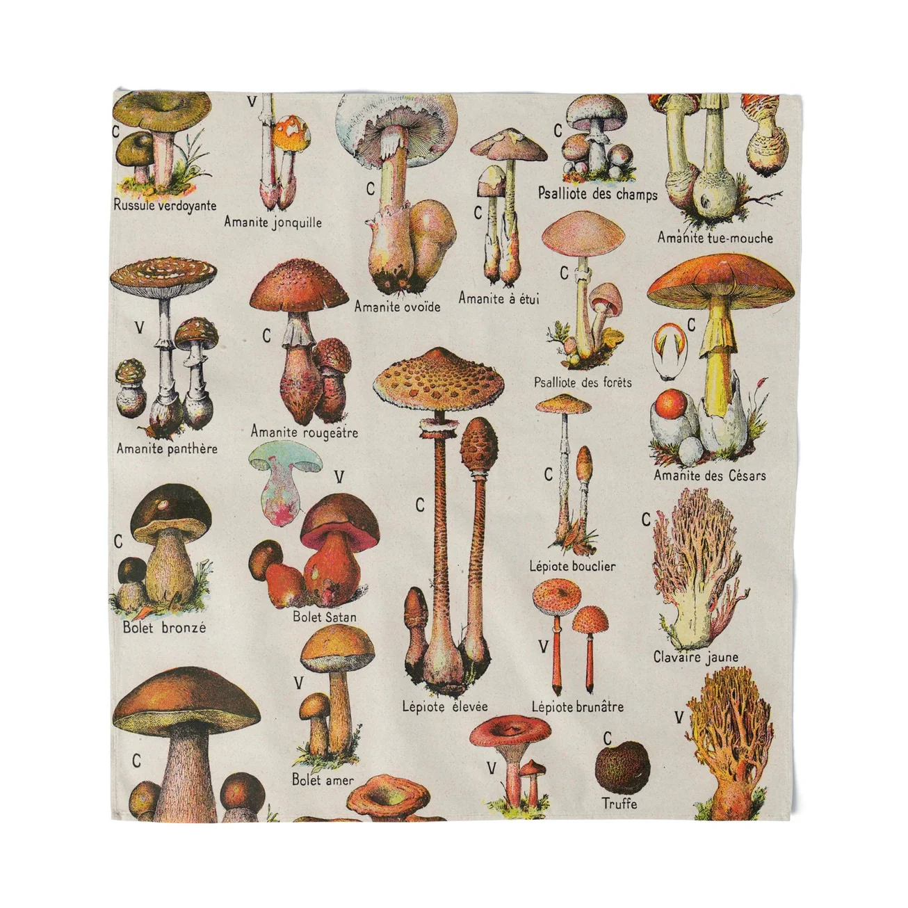 MYCOLOGY BANDANA/SCARF/ALTAR CLOTH