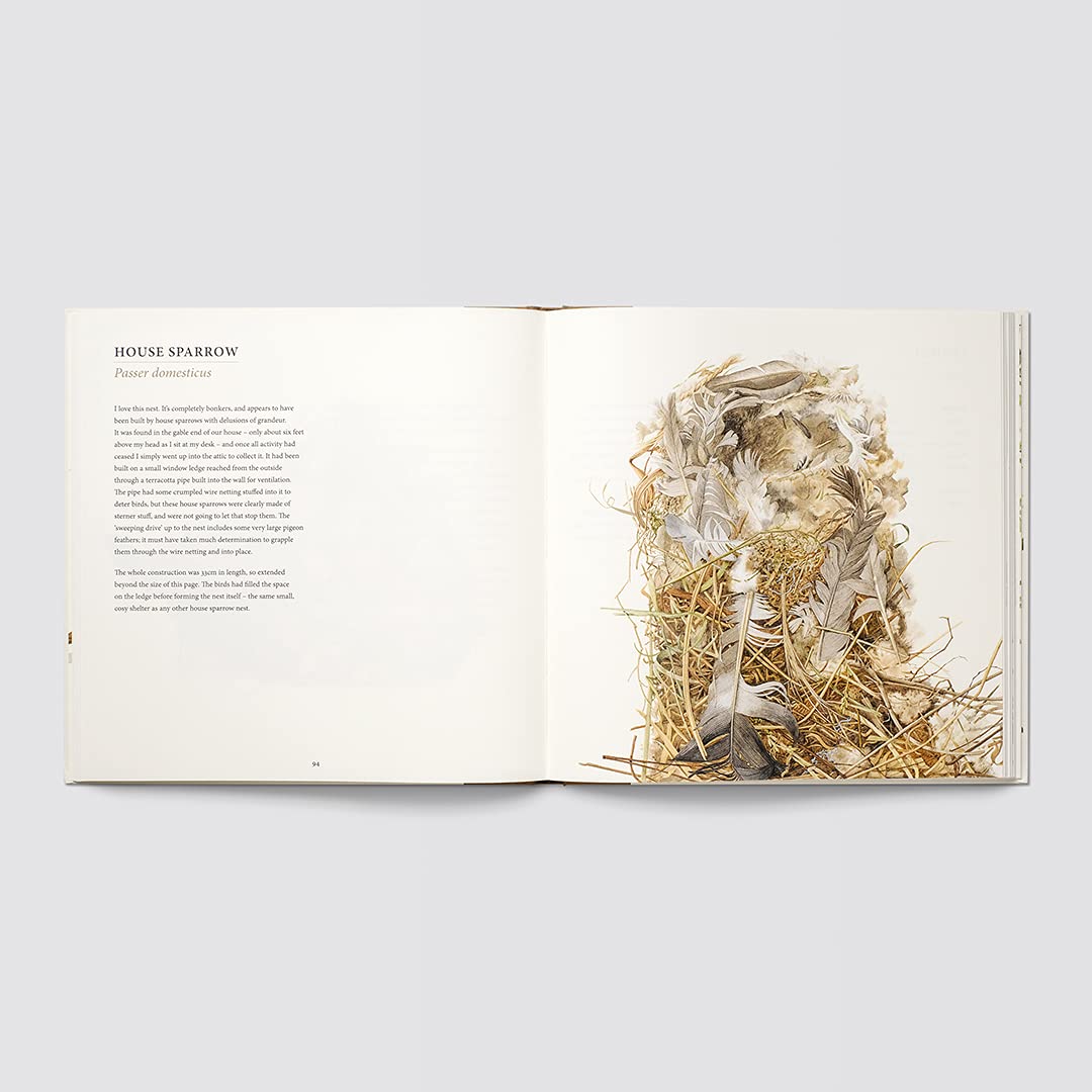 NESTS BY SUSAN OGILVY - Image 3