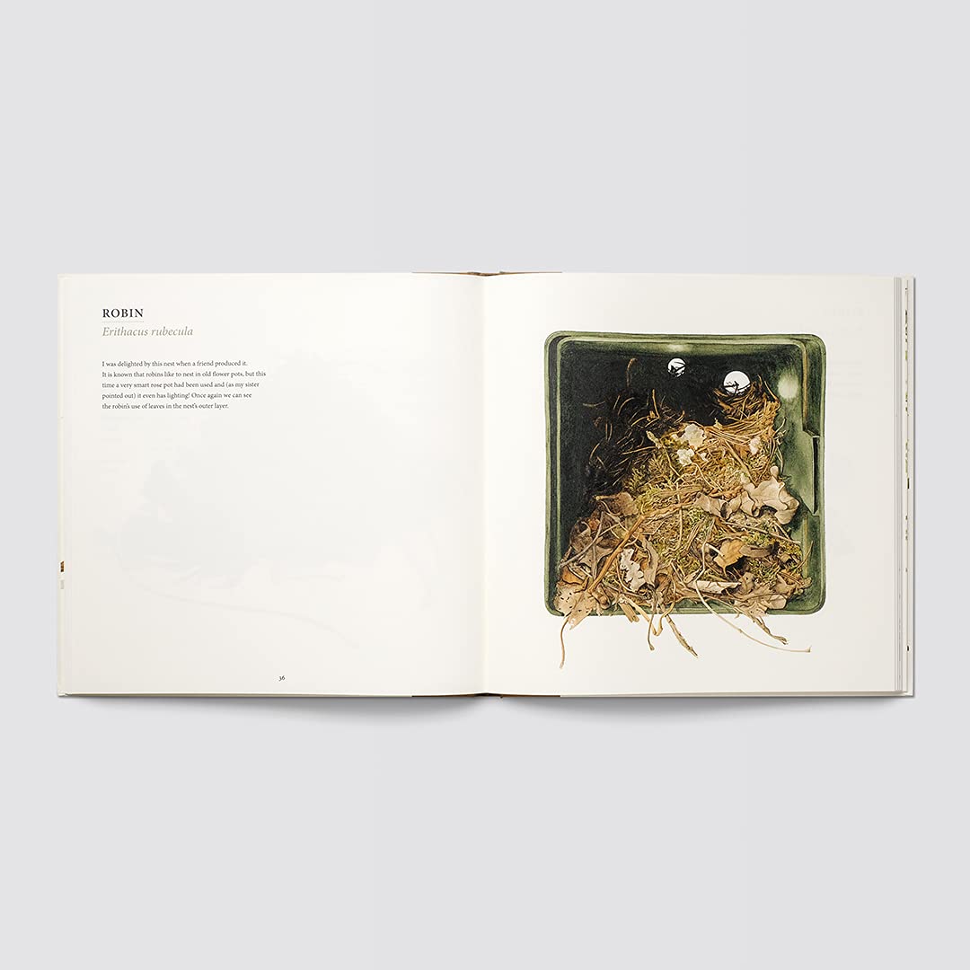 NESTS BY SUSAN OGILVY - Image 4