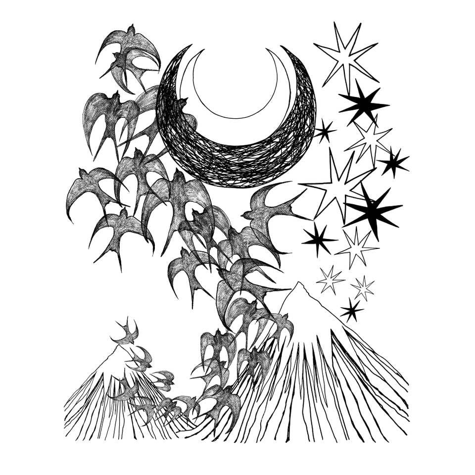 NIGHT FLIGHT CLOVER CROP TEE BY SUPERMAGGIE - Image 2