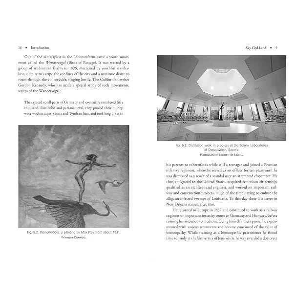 OCCULT GERMANY: OLD GODS, MYSTICS, AND MAGICIANS BY CHRISTOPHER MCINTOSH - Image 4