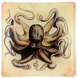 OCTOPUS GLASS TRAY - Image 2