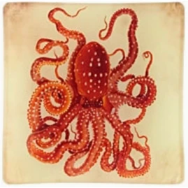 OCTOPUS GLASS TRAY - Image 4