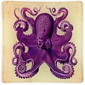 OCTOPUS GLASS TRAY - Image 5