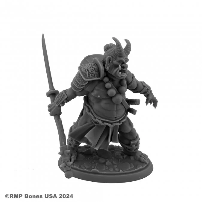 OGRE MAGI