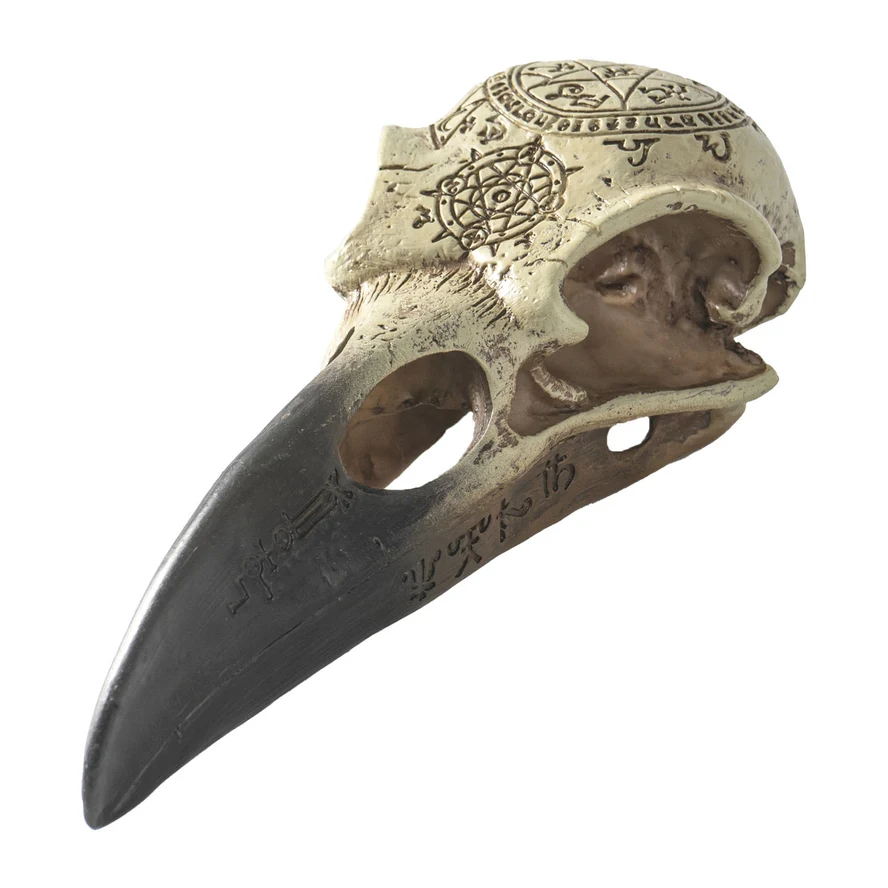 OMEGA RAVEN SKULL - Image 2
