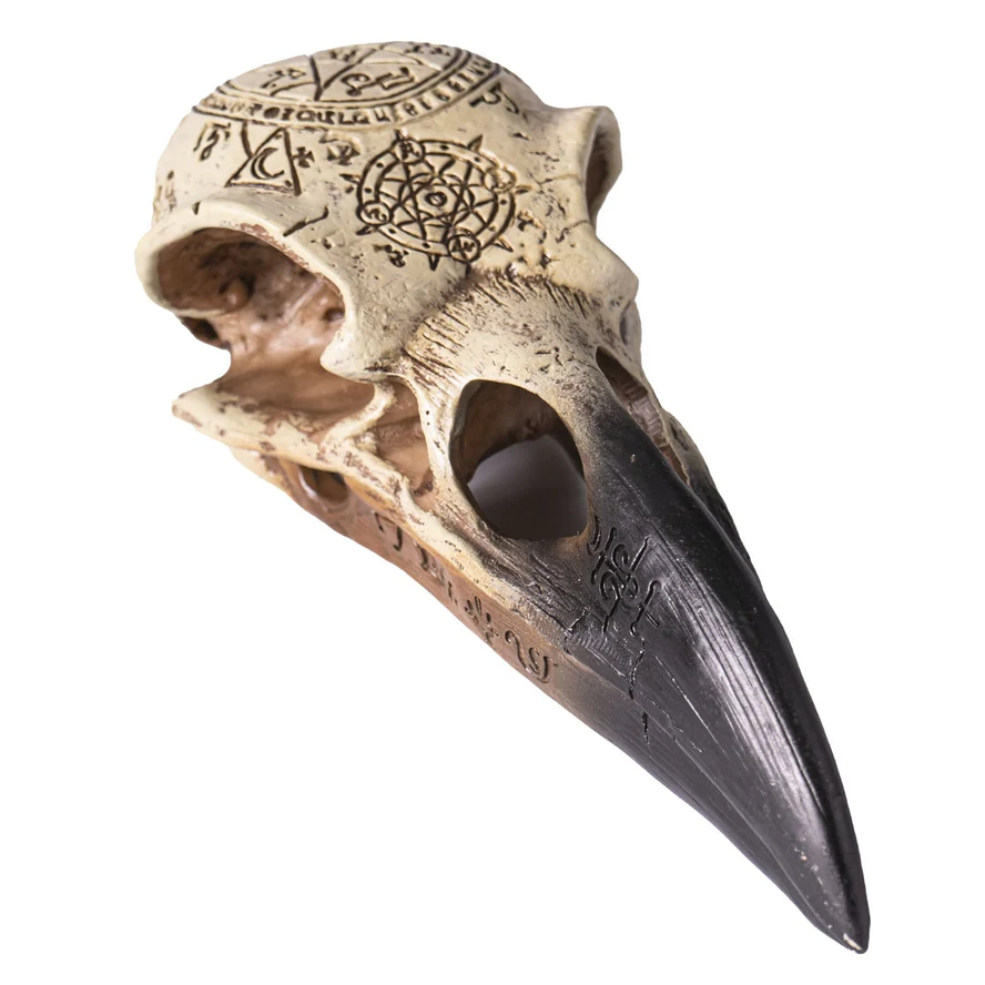 OMEGA RAVEN SKULL - Image 3