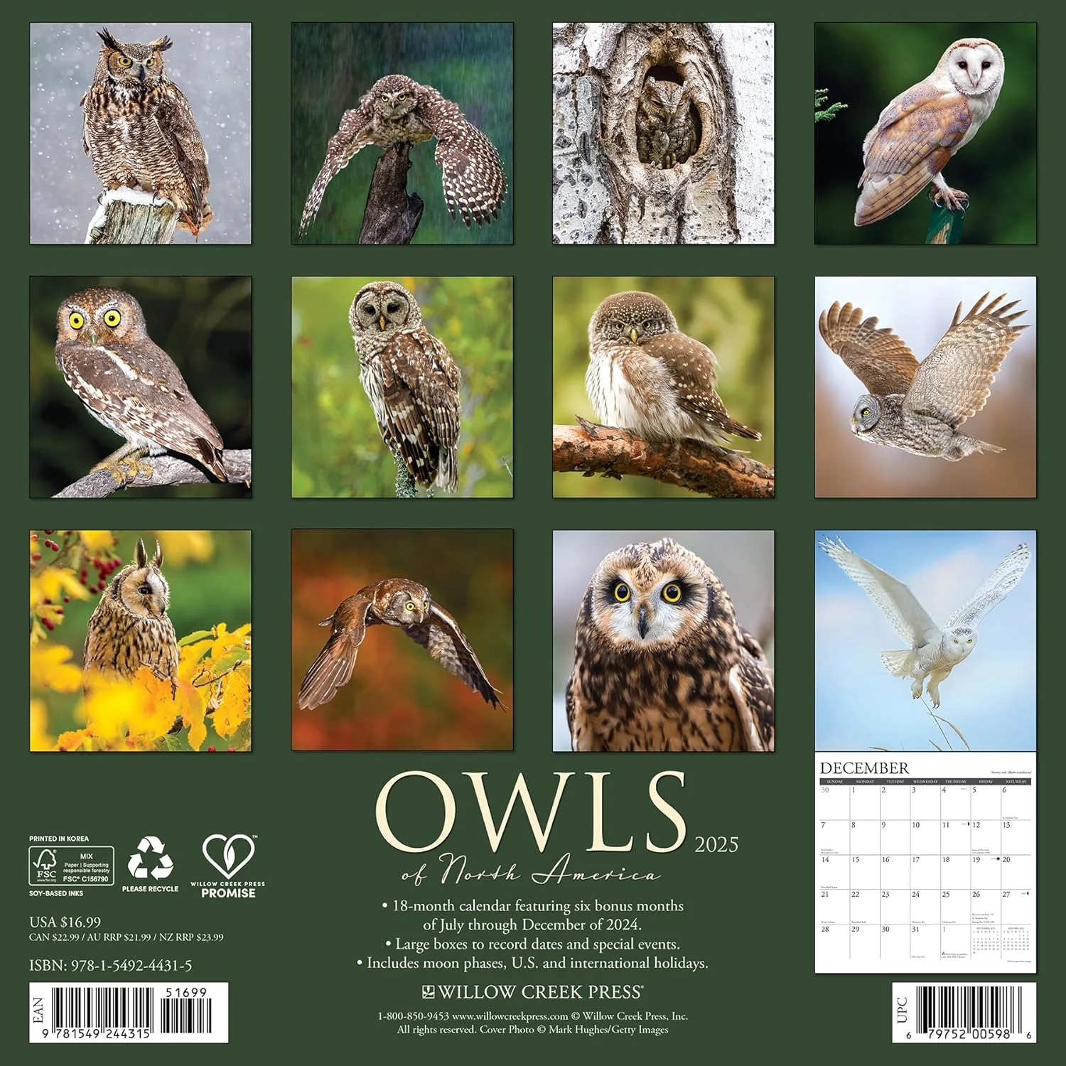 OWLS OF NORTH AMERICA CALENDAR 2025 - Image 2
