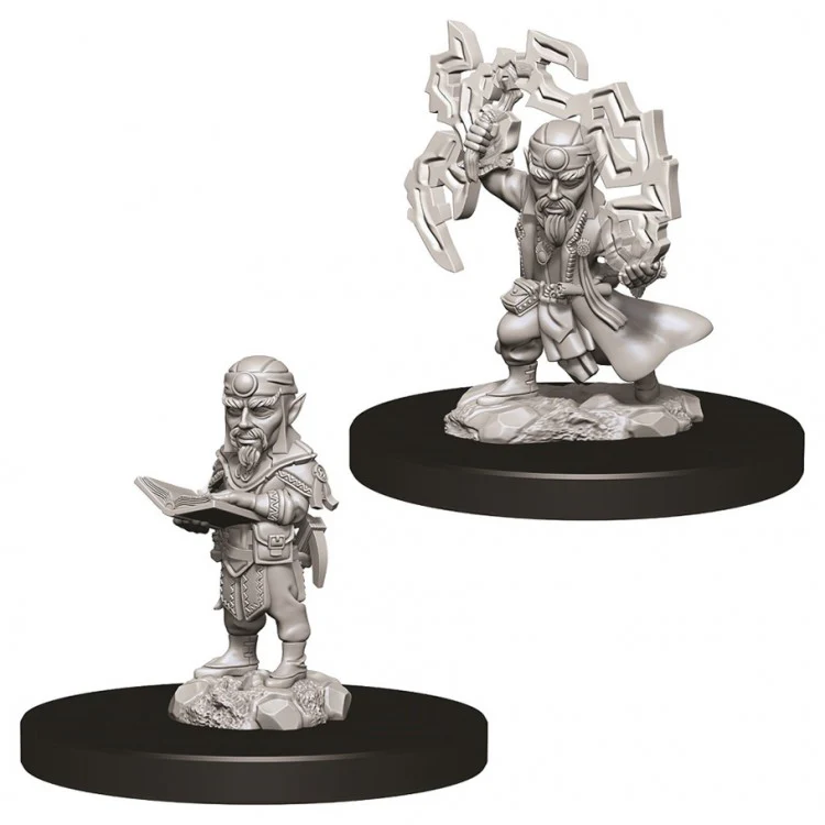 PATHFINDER DEEP CUTS: MALE GNOME SORCERER