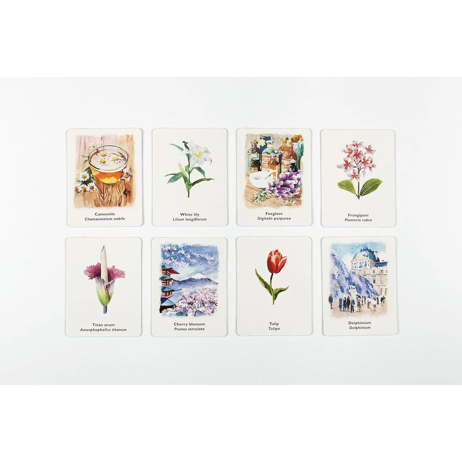 PICK A FLOWER MEMORY GAME - Image 4