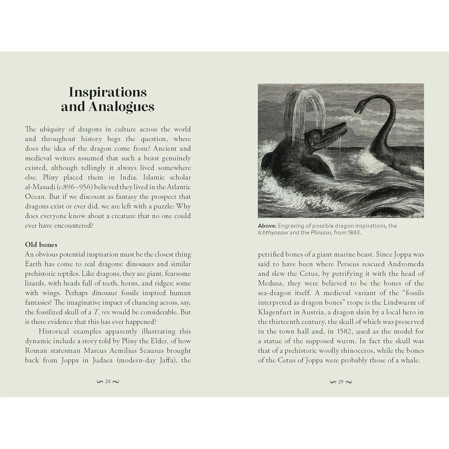 POCKET BOOK OF DRAGONS: MYTH, MAGIC, & MEANING BY JOEL LEVY - Image 4