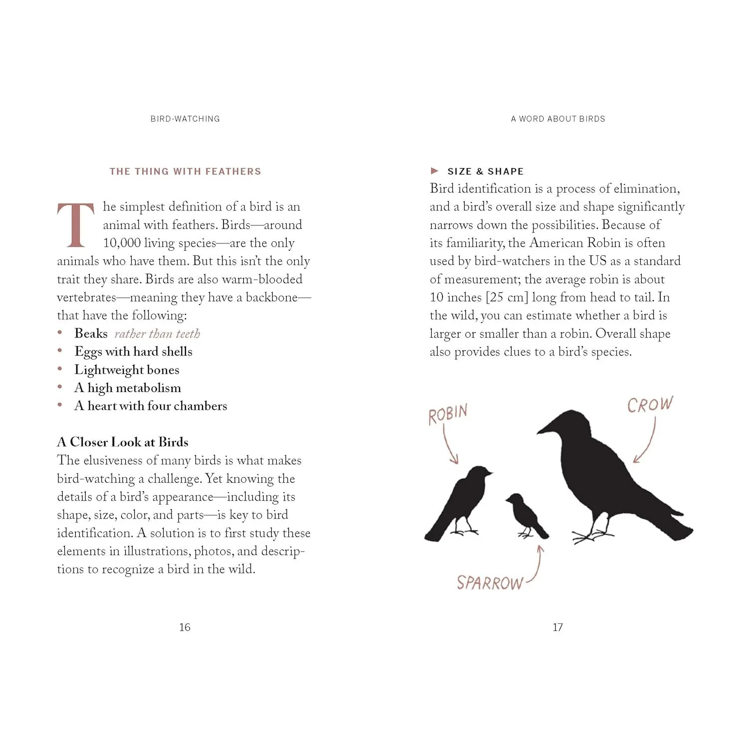 POCKET NATURE: BIRD WATCHING - Image 3
