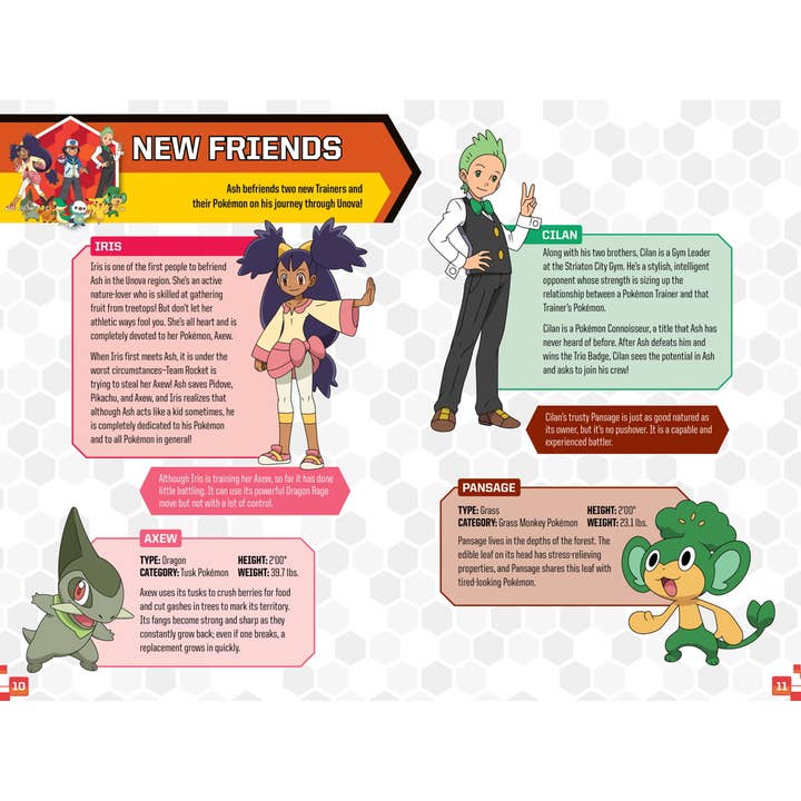 POKEMON: CATCH TEPIG! LOOK AND LISTEN SET - Image 3