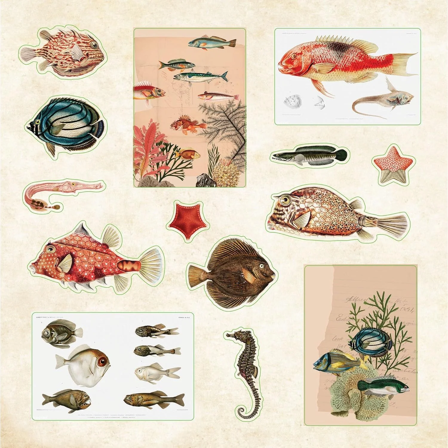 POSEIDON'S KINGDOM STICKER BOOK - Image 3