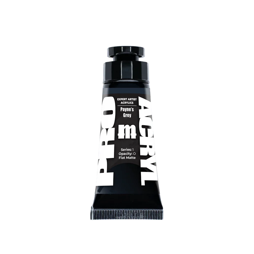PRO ACRYL EXPERT ACRYLICS 013 - PAYNE'S GREY