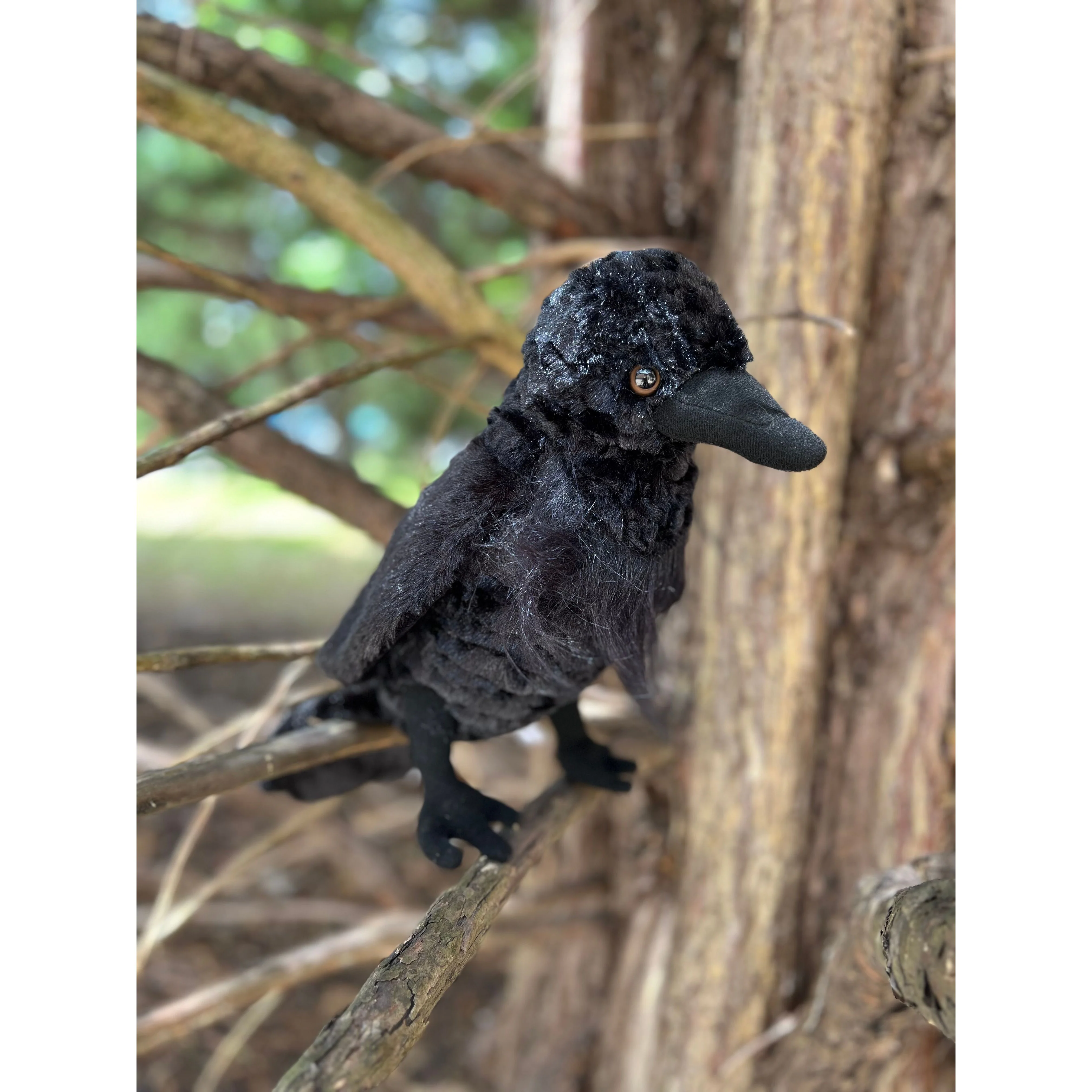 RAVEN PLUSH