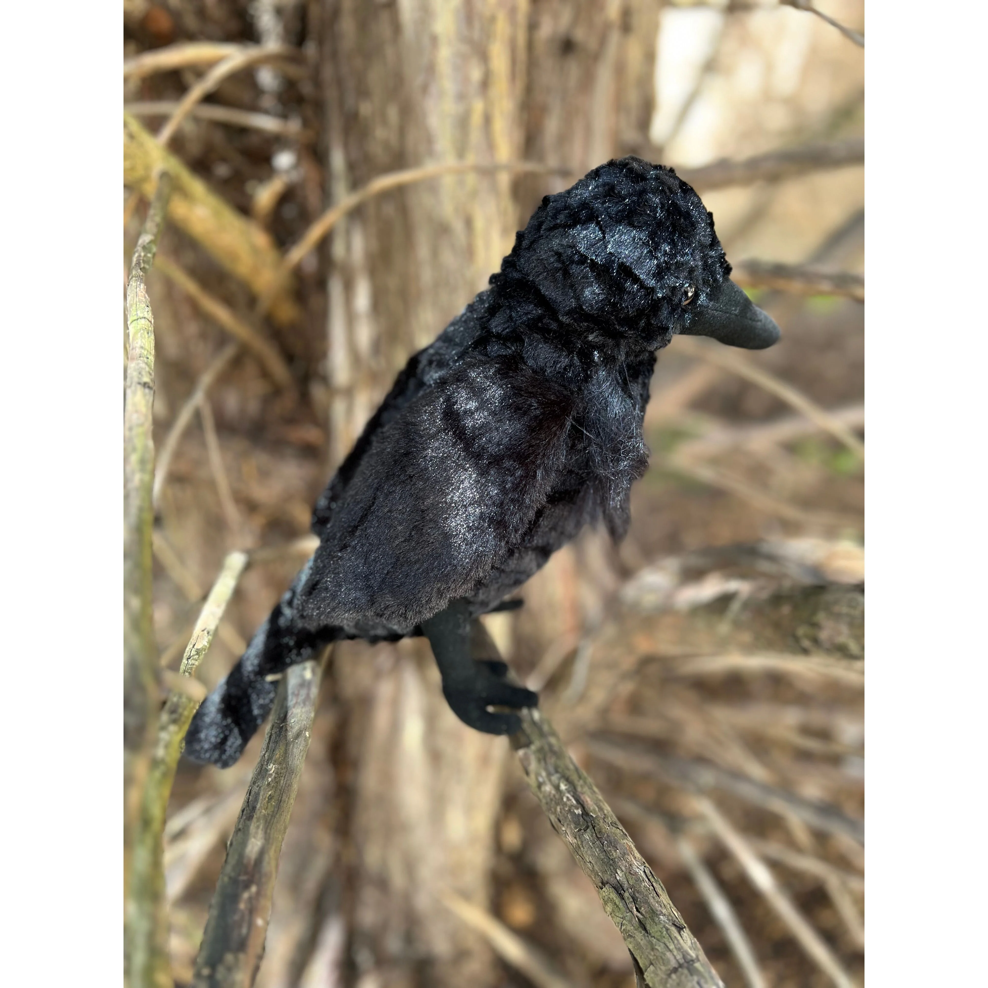 RAVEN PLUSH - Image 2