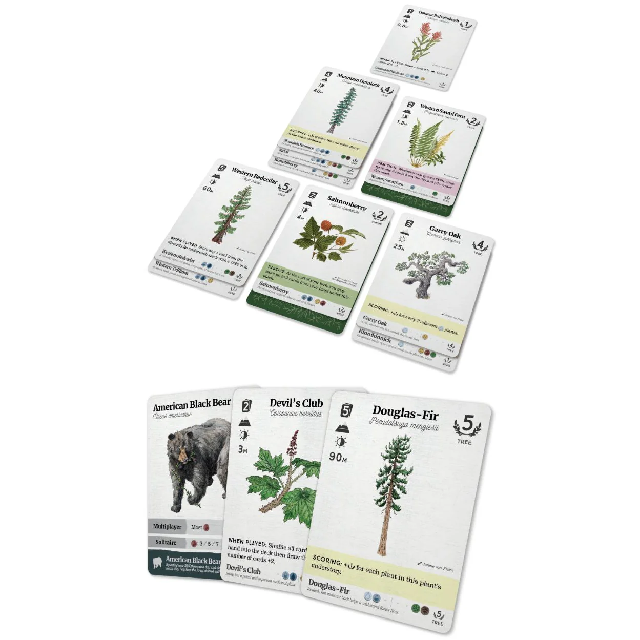 REFOREST: PLANTS OF THE PACIFIC NORTHWEST COAST - Image 2