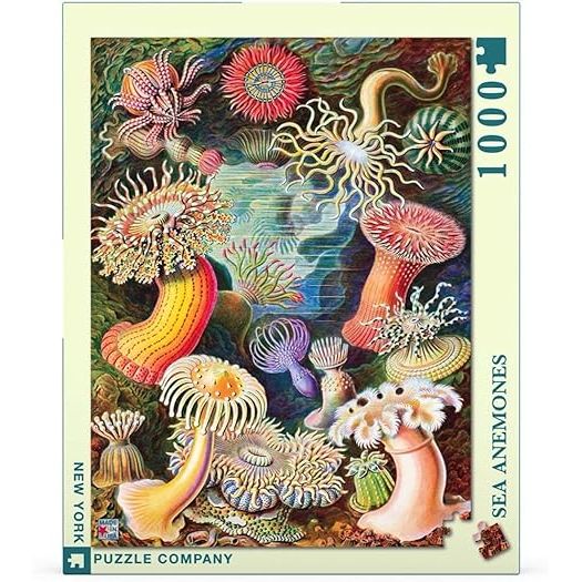 SEA ANEMONES 1000PC PUZZLE - Image 2