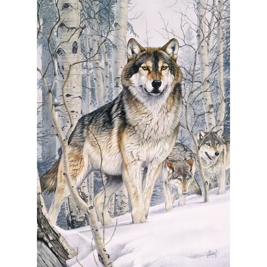 SECOND GLANCE 1000PC PUZZLE - Image 2