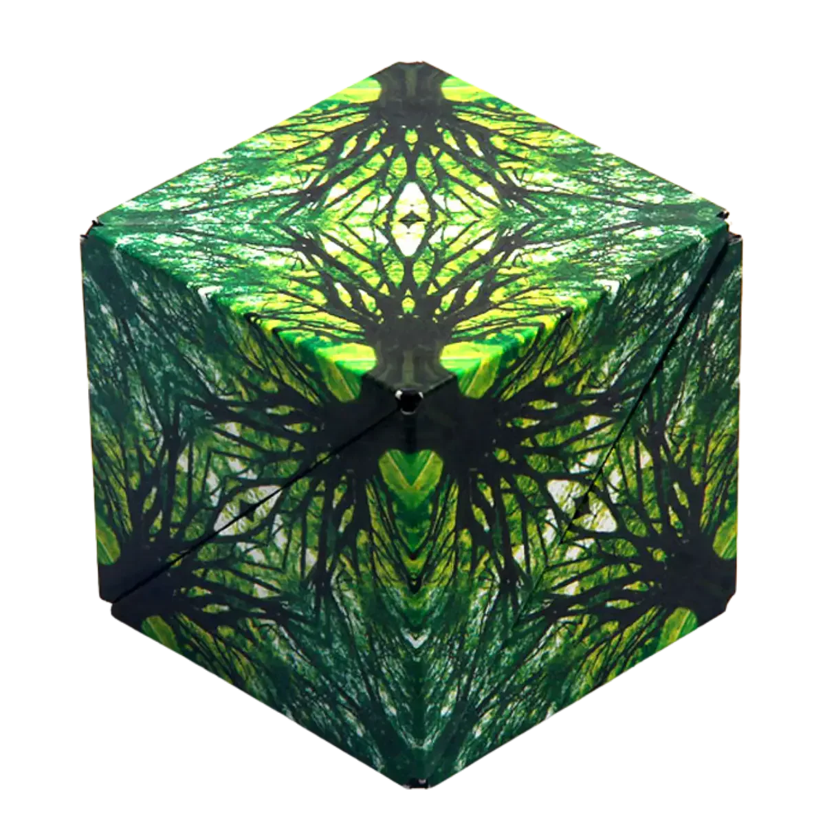 SHASHIBO: ELEMENTS