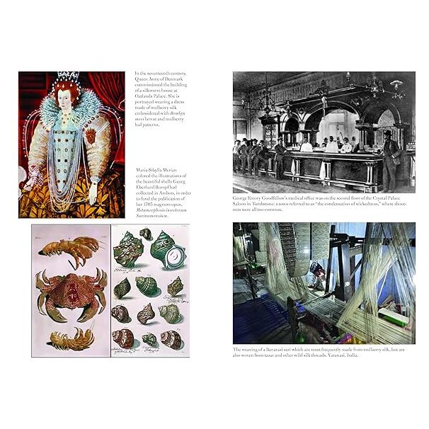 SILK: A WORLD HISTORY BY AARATHI PRASAD - Image 3