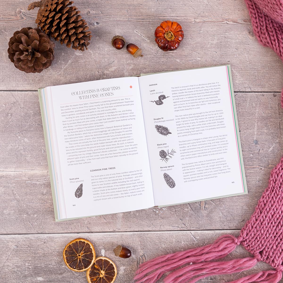 SLOW SEASONS: A CREATIVE GUIDE TO RECONNECTING WITH NATURE THE CELTIC WAY BY ROSIE STEER - Image 4