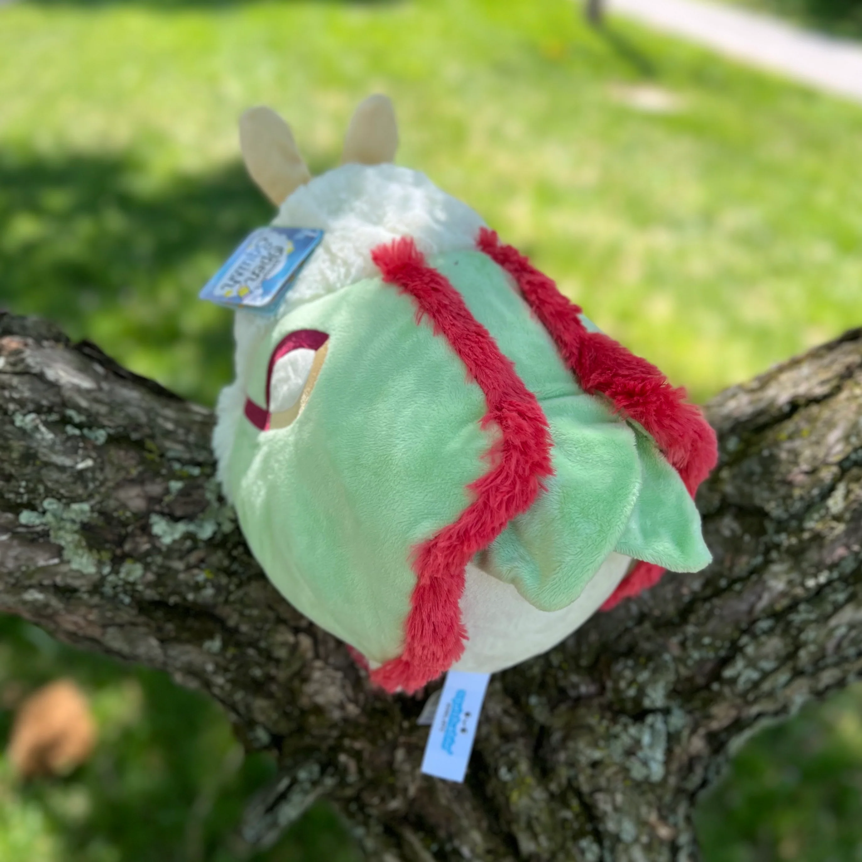 SQUISHABLE MINI LUNA MOTH - Image 2