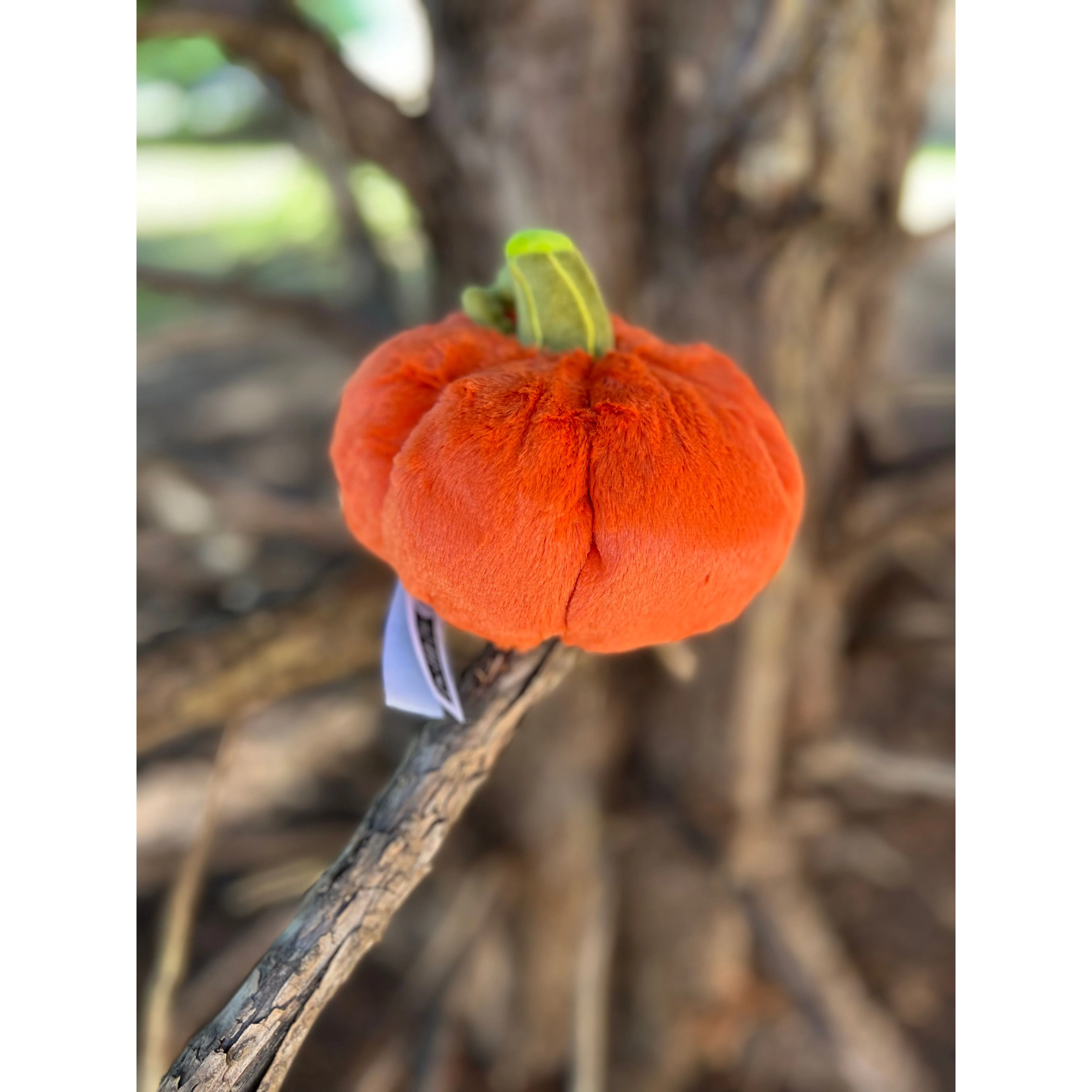SQUISHABLE SNACKER JACK-O-LANTERN - Image 3